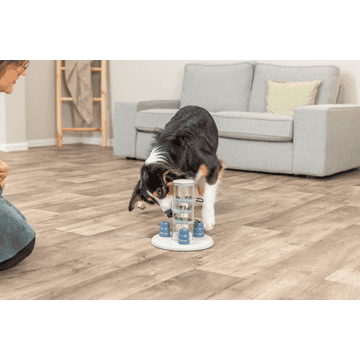 Dog Activity Gambling Tower