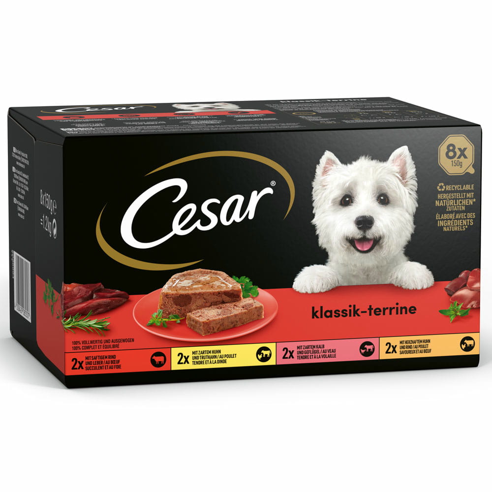 Klassiker in Terrine