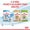 X-Small Puppy Gravy - Sachets