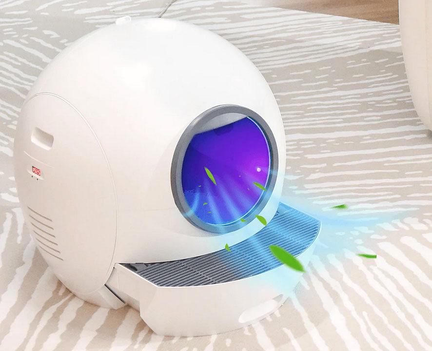 Caisse fermée pour chats CLB1