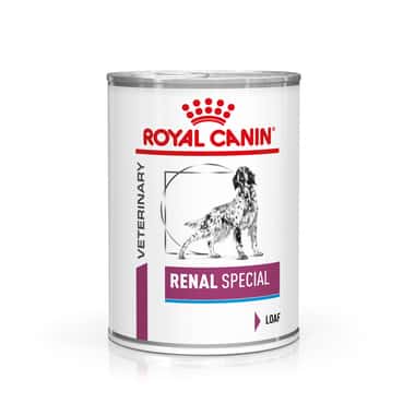 Renal Special Dog - Boîte