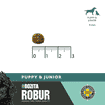 Dog Robur Puppy & Junior