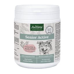 Senior Active