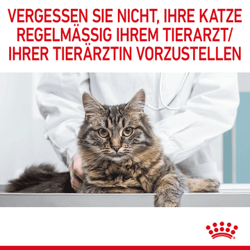 Appetite Control Gravy - Frischebeutel