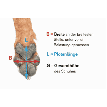 Pfotenschutzschuhe Pro Active