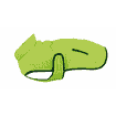 Manteau pour chien Pump-it, vert clair