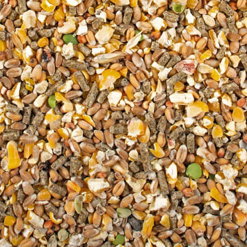 Poultry Mix Chicken laying mix