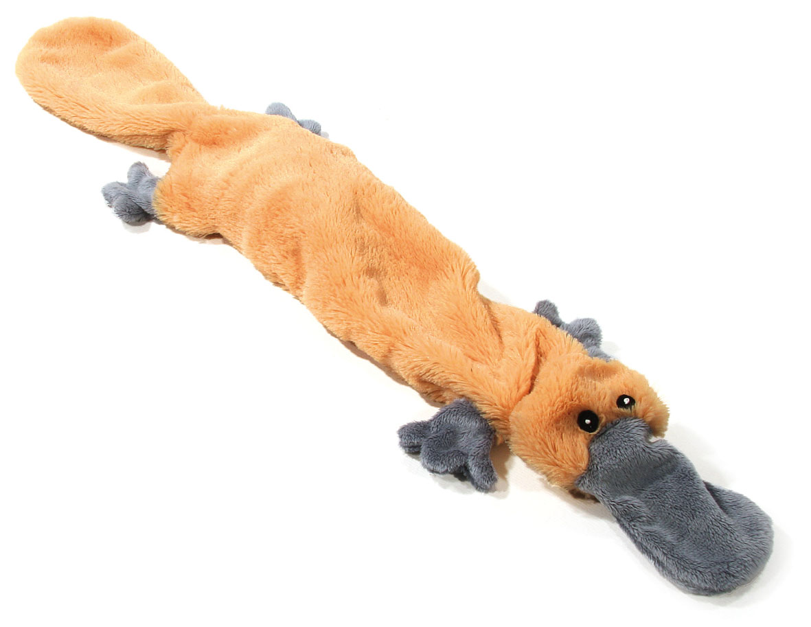 Schlappi Schnabeltier
