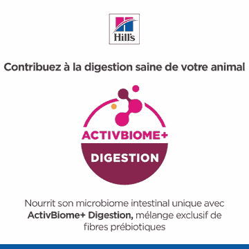 Canine Perfect Digestion Medium Breed