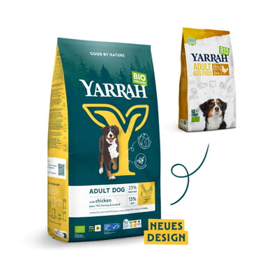 Croquettes biologiques au poulet pour chien adulte