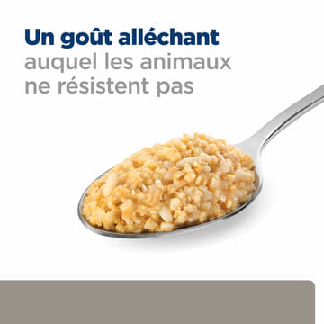 Canine l/d Liver Care - Boîte