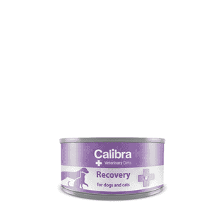 Canine/Feline Recovery