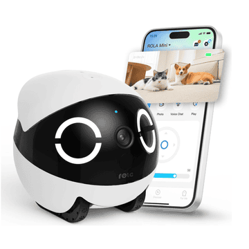 ROLA Mini Companion Robot