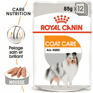 Coat Care Wet