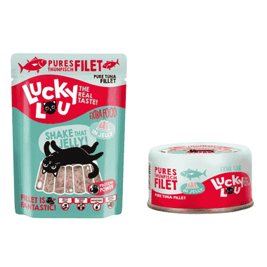 Thunfischfilet in Jelly