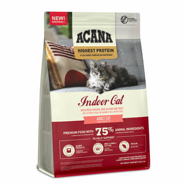 Highest Protein INDOOR CAT