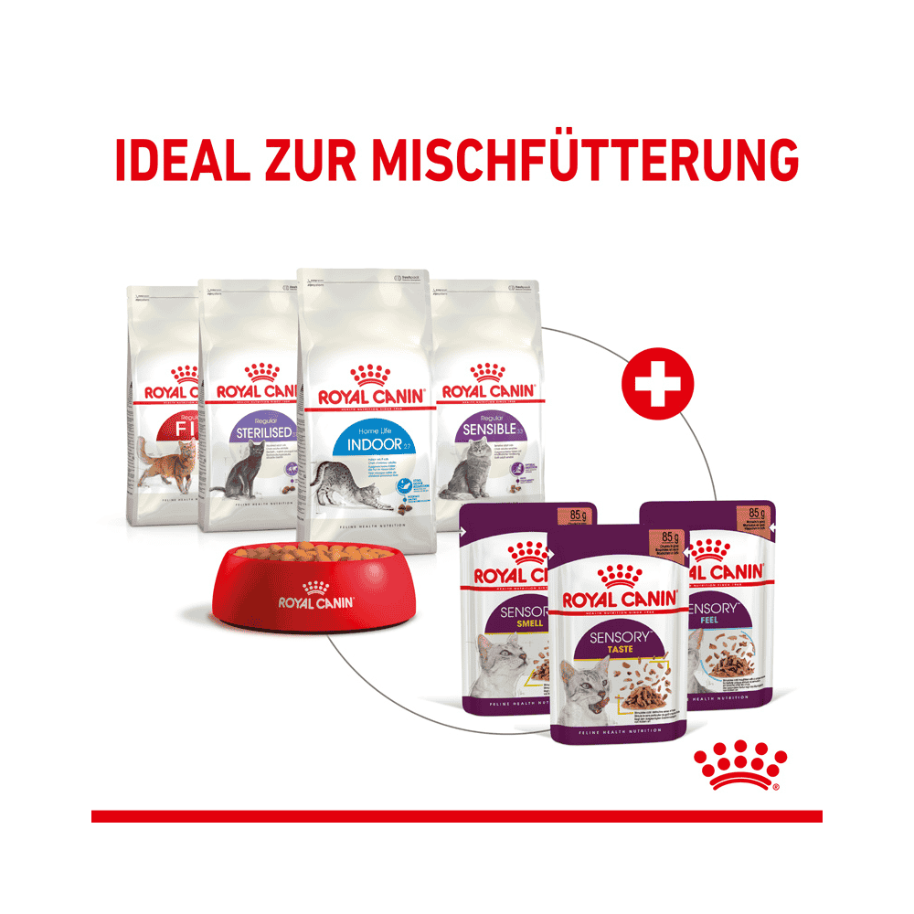 SENSORY SMELL, TASTE, FEEL in sauce, fresh pouches
