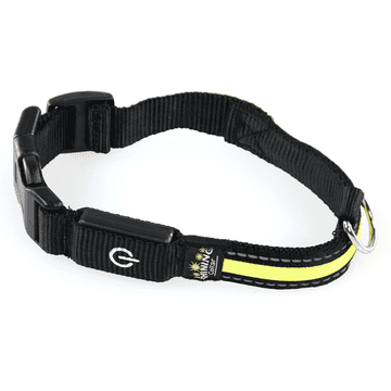 swisspet Fluo Collier lumineux