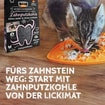 Zahnputzkohle Katze