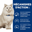 Feline c/d Multicare Stress Urinary Care Chicken Stew - Boîte