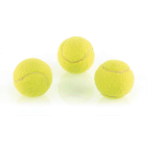 swisspet Balles de tennis mini