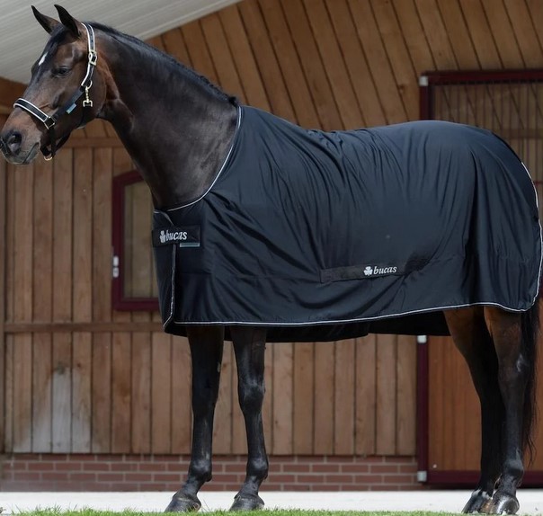 Shamrock Power sweat rug