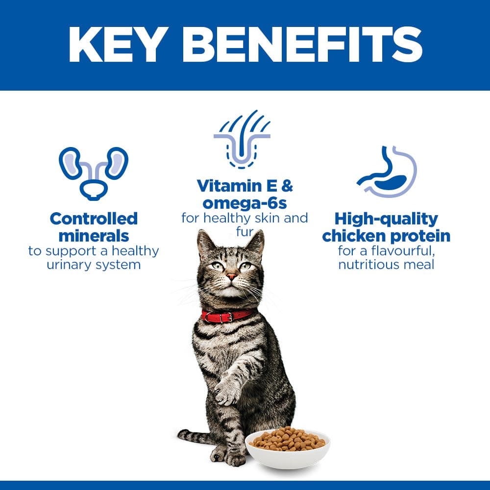 Feline Urinary Health