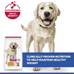 Canine Adult Light Large Breed