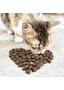 Soft Katze Huhn & Kartoffel mit Leber
