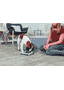 Dog Activity Mini Mover