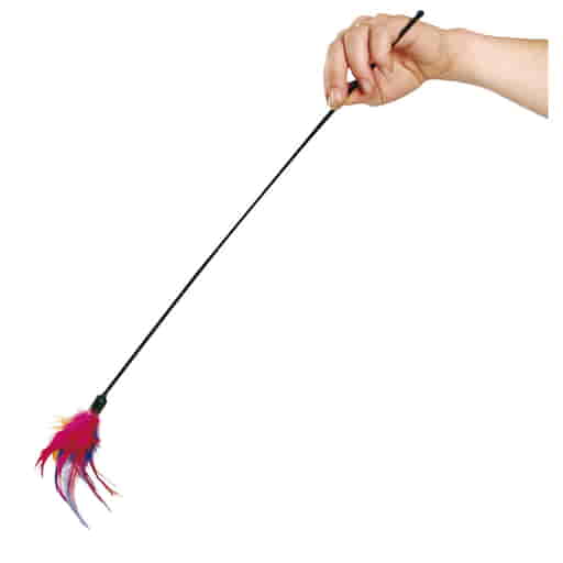 Canne à pêche pour chats swisspet avec plumeau