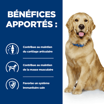 Canine j/d Mobility - en boîte