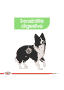Medium Digestive Care