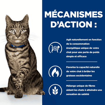 Feline Metabolic Weight loss & Maintenance Chicken - Nouveau : Weight & diabetes management