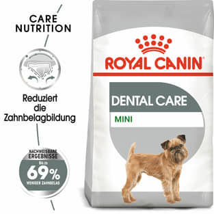 Dental Care Mini