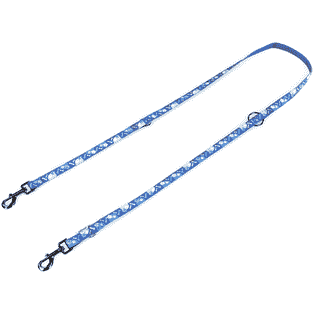 Bluestar &amp; Fantasy lead, blue
