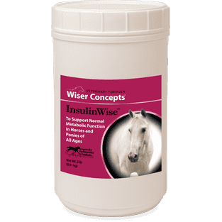 InsulinWise