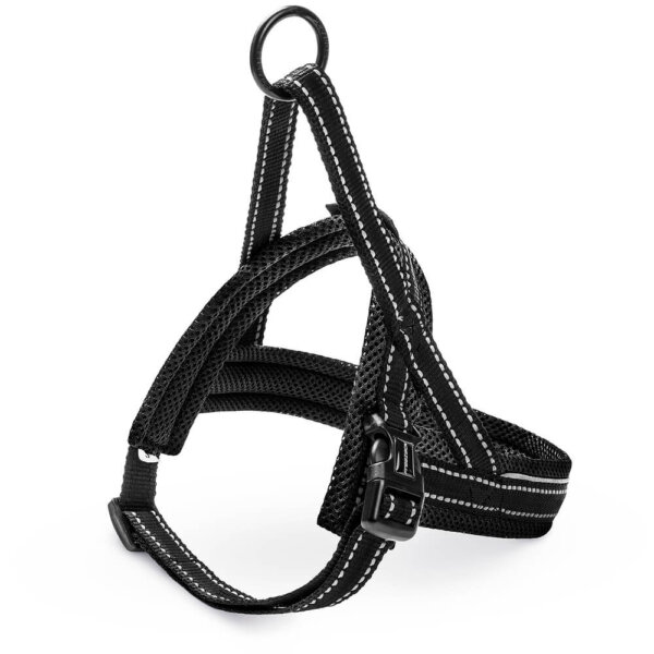 Nordic Sport M harness