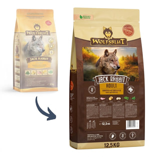 Jack Rabbit Adult