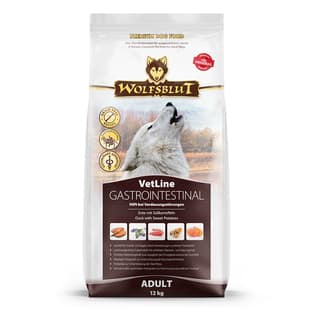 Gastrointestinal Dog