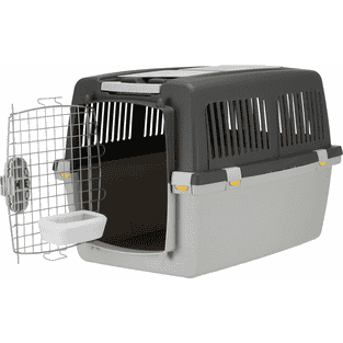 Box de transport Gulliver