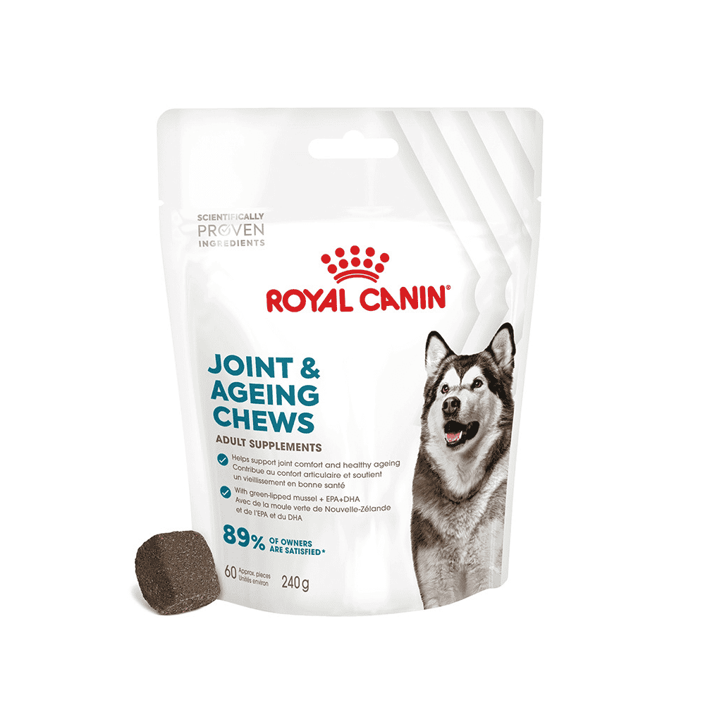 Joint & Ageing Chews Adult Supplements