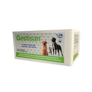 Gestisan
