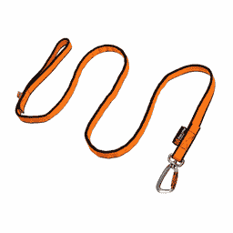 Bungee Leash Black/Orange
