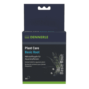 Plant Care Basic Root