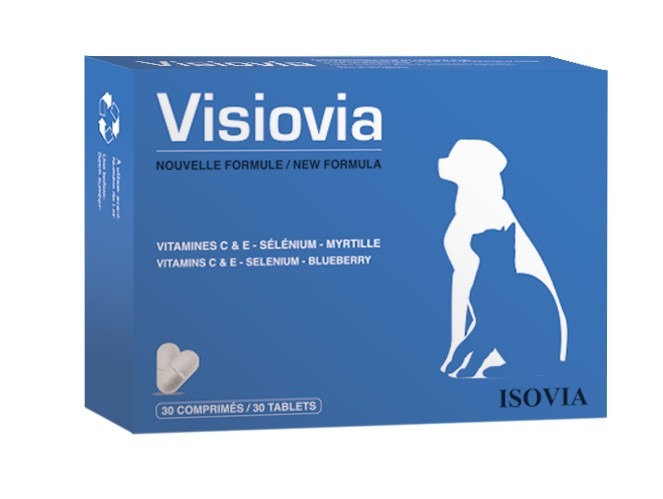 Visiovia