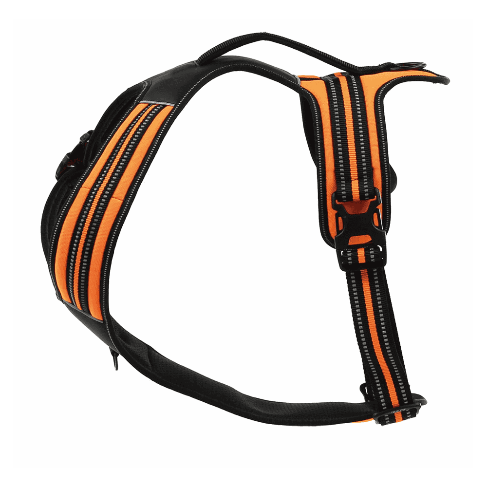 Tableware Adven, orange L