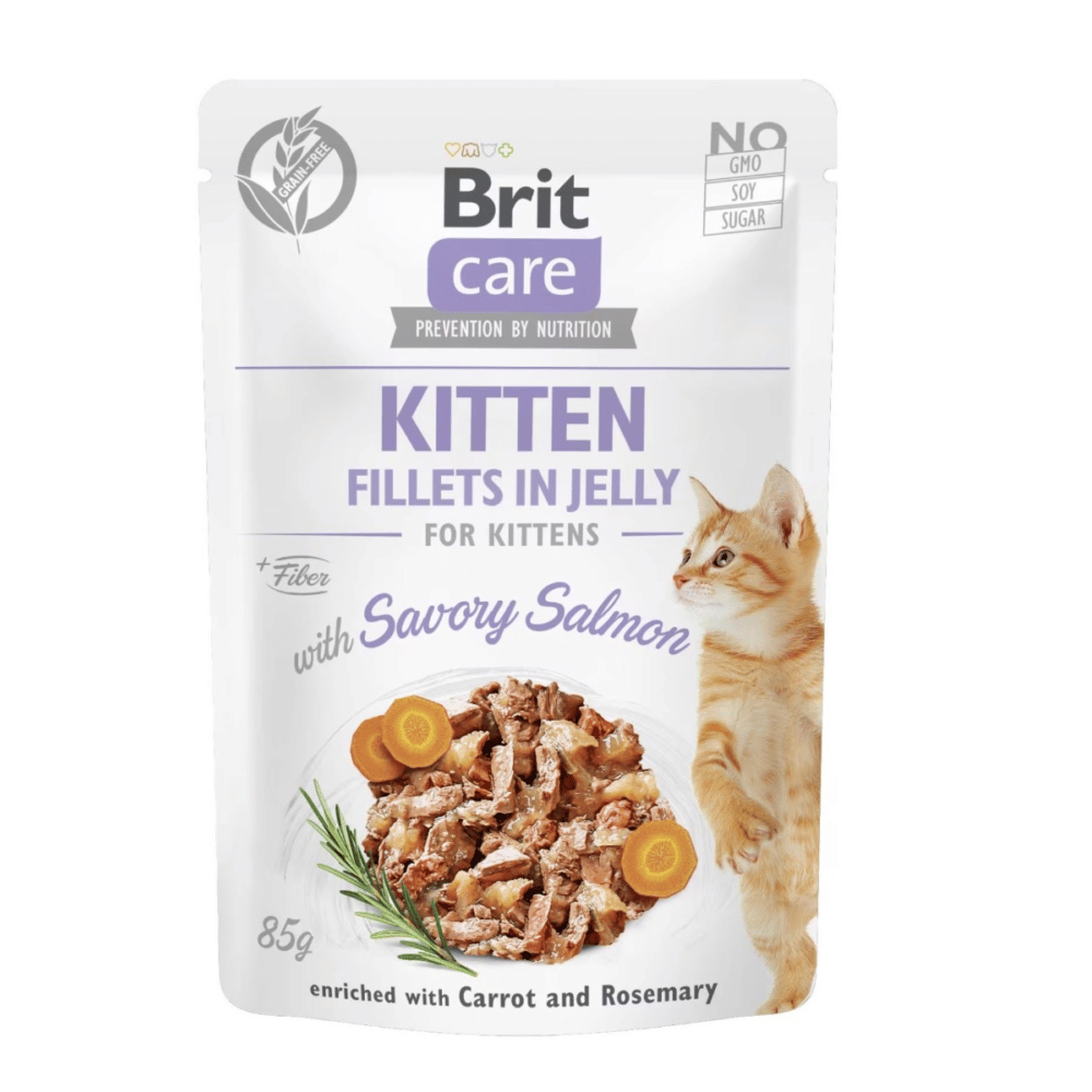 Care Cat - Fillets Kitten in Jelly with Salmon