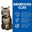 Feline Hairball & Perfect Coat Adult