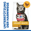 Feline Urinary Health